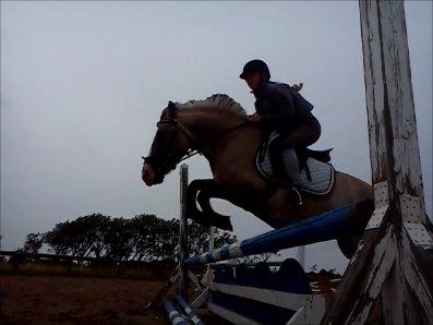 Anden særlig race Blakken - ''Feeling down? Saddle up'' billede 14