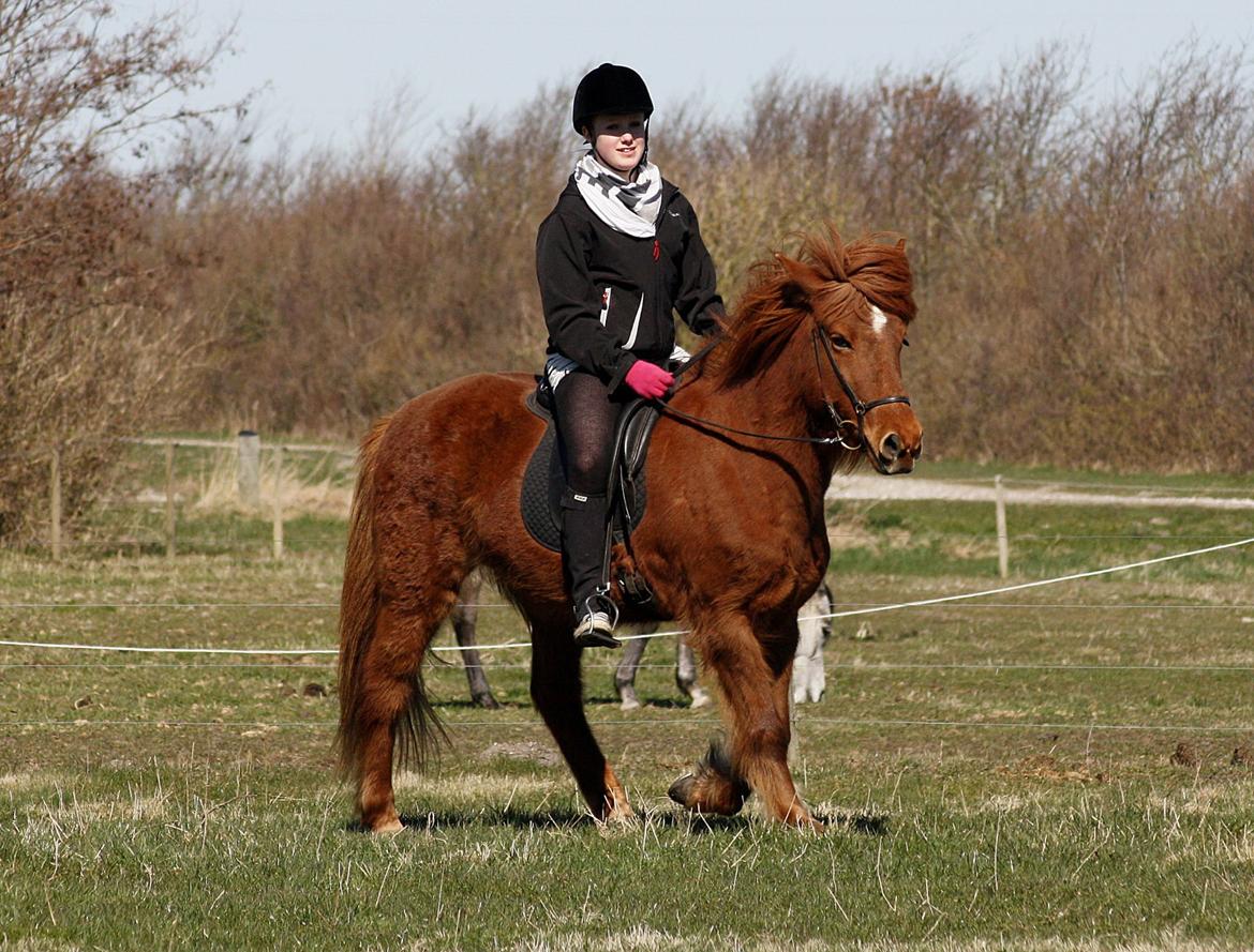 Islænder Snekkja (R.I.P) billede 8