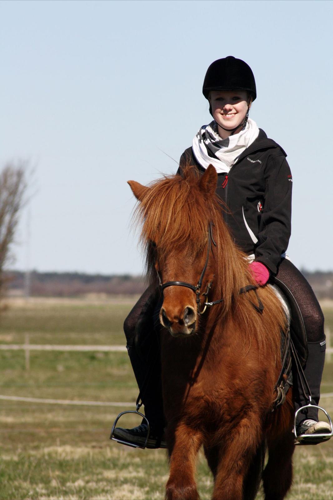 Islænder Snekkja (R.I.P) billede 9