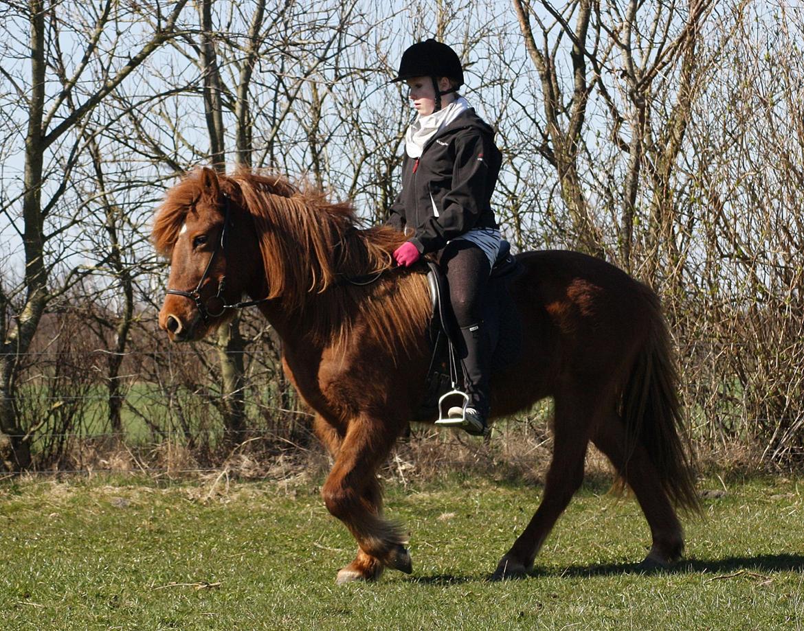 Islænder Snekkja (R.I.P) billede 10