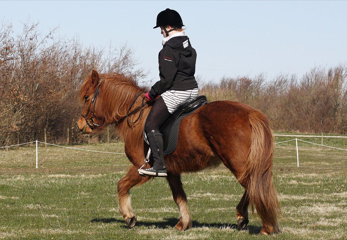 Islænder Snekkja (R.I.P) billede 11