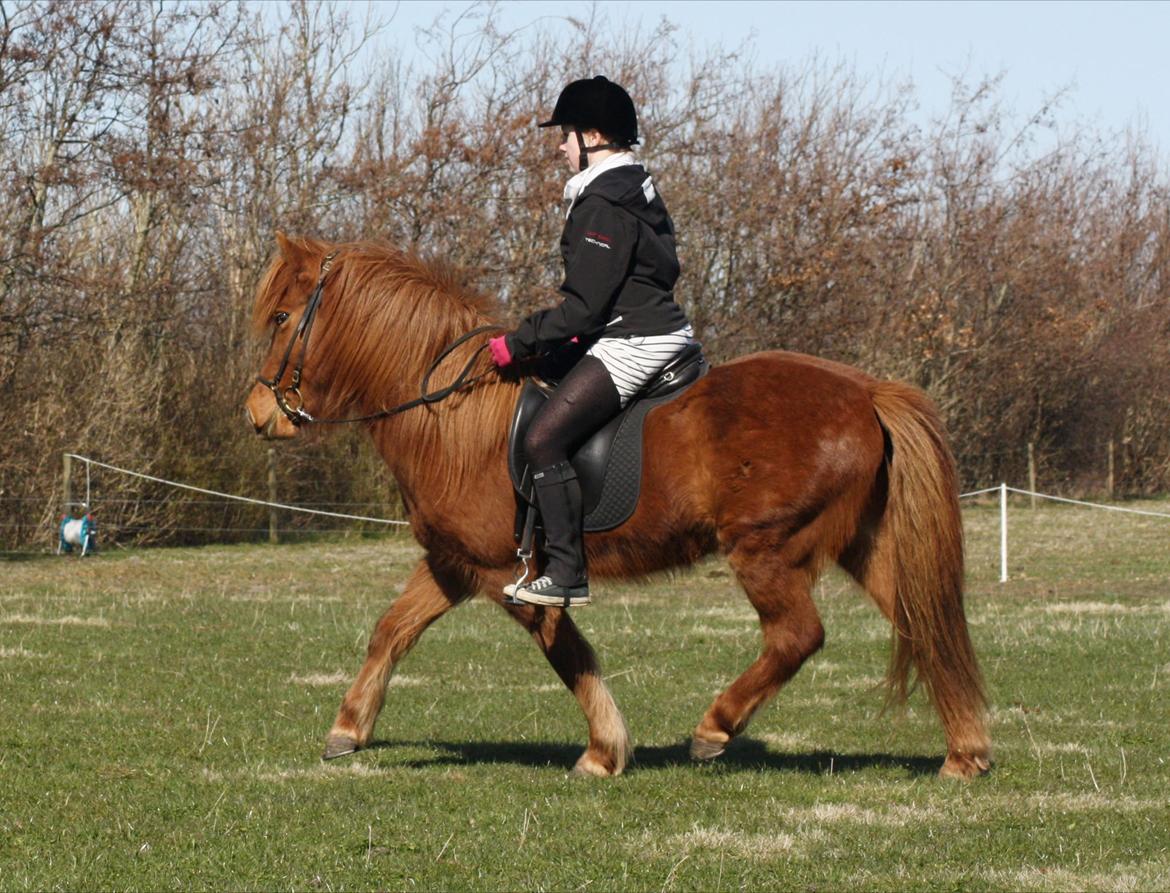 Islænder Snekkja (R.I.P) billede 12