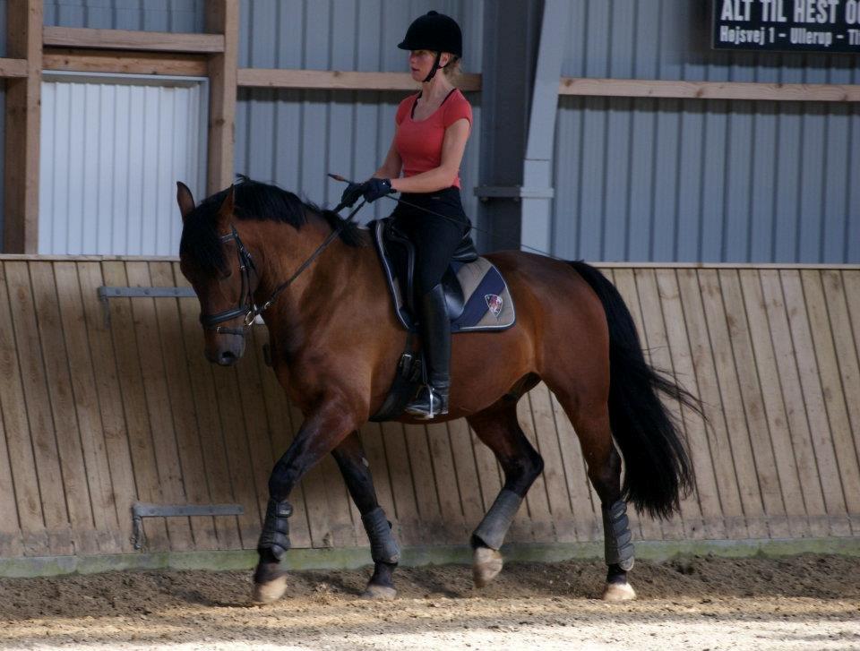 Oldenborg Taison billede 14