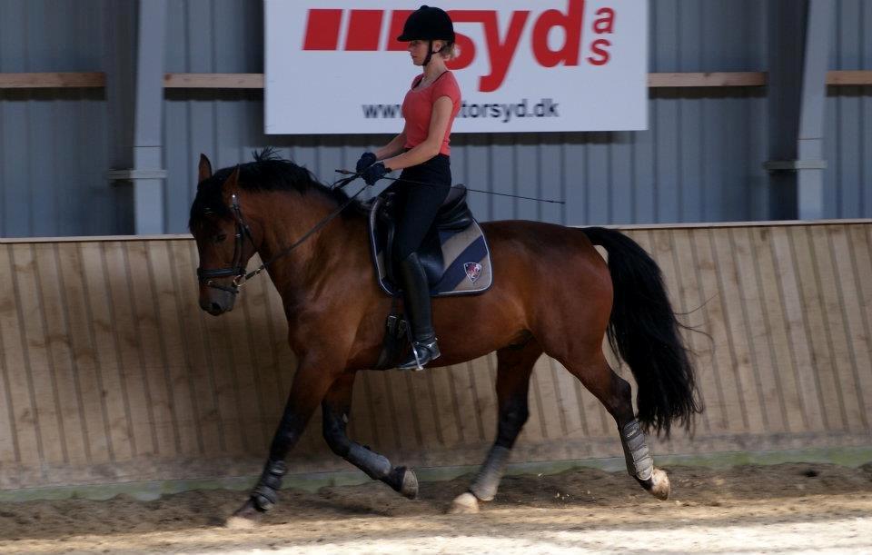 Oldenborg Taison billede 15