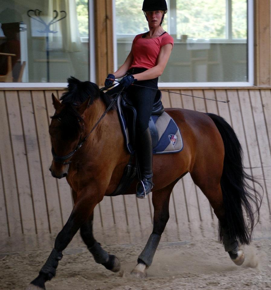 Oldenborg Taison billede 16