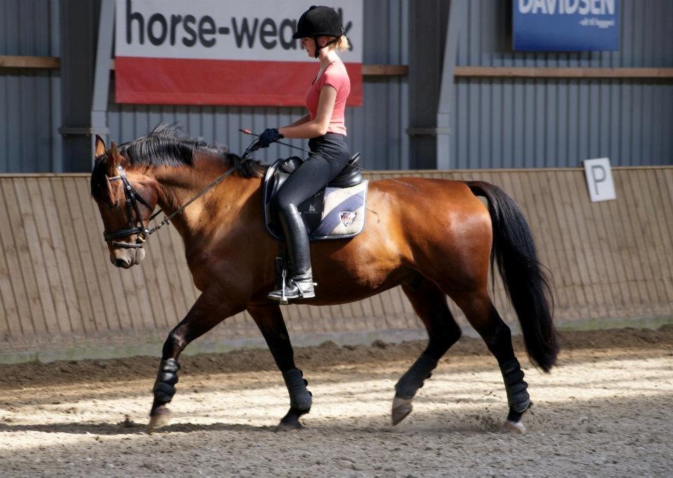 Oldenborg Taison billede 17