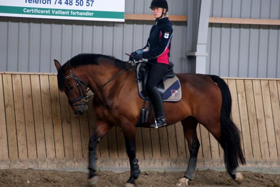 Oldenborg Taison billede 18