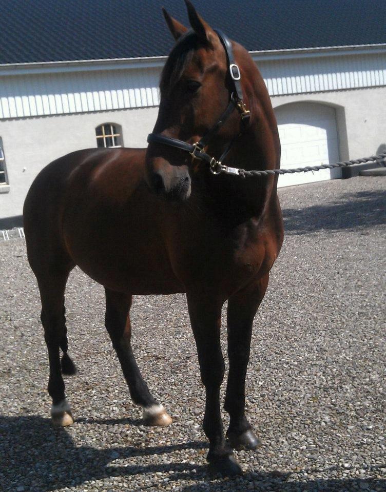 Oldenborg Taison billede 19