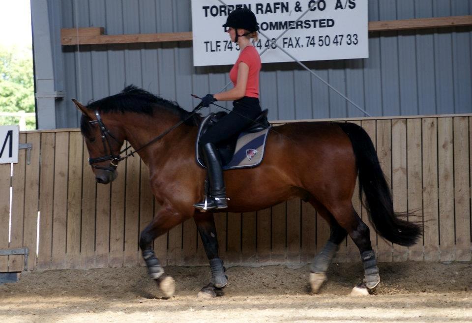 Oldenborg Taison billede 20