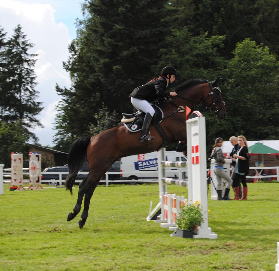 Anden særlig race Bastian *Stjernen*:-) - Jysk Rideuge 2012. Første LA* billede 14