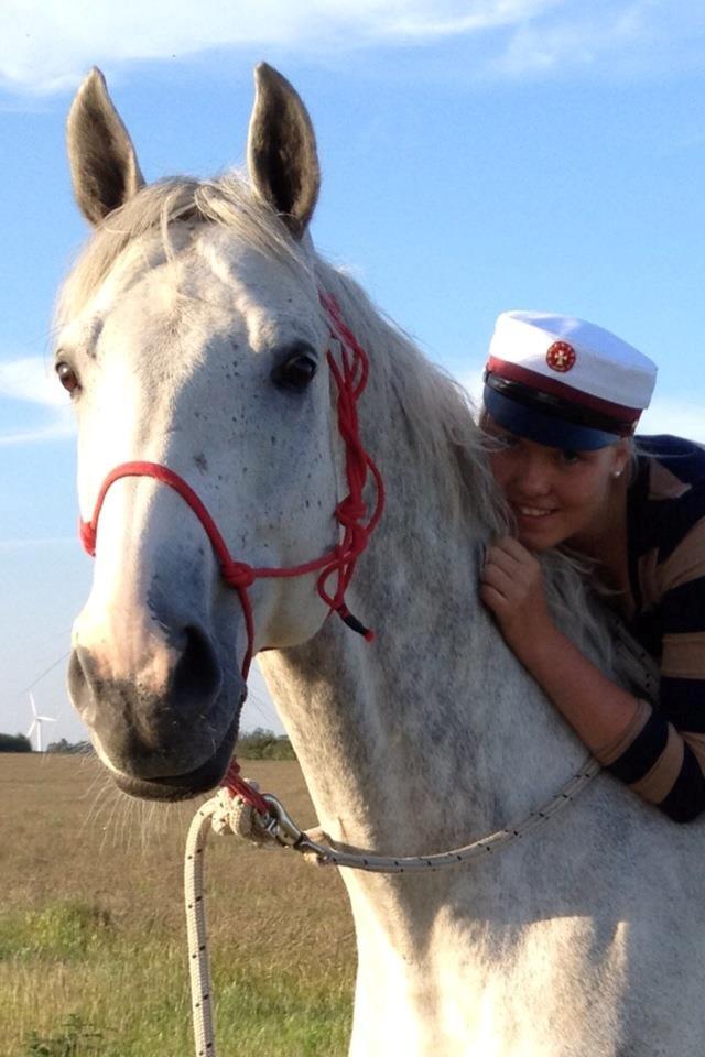 Dansk Varmblod Fransisco - Student på hest <3 billede 20