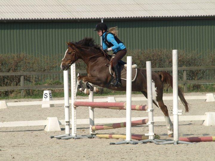 Hollandsk Sportspony Ainoa Van Uniken - Spring undervisning:) billede 19