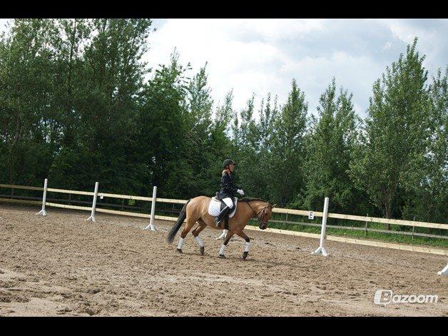 Anden særlig race Smukke Pocahontas!<3 - Dressur-stævne hun var så dygtig!<3 billede 19