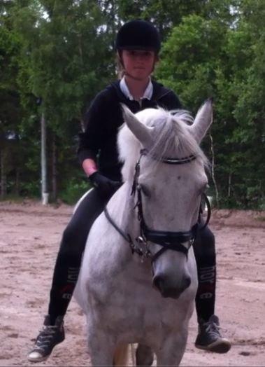 Anden særlig race Jock billede 13