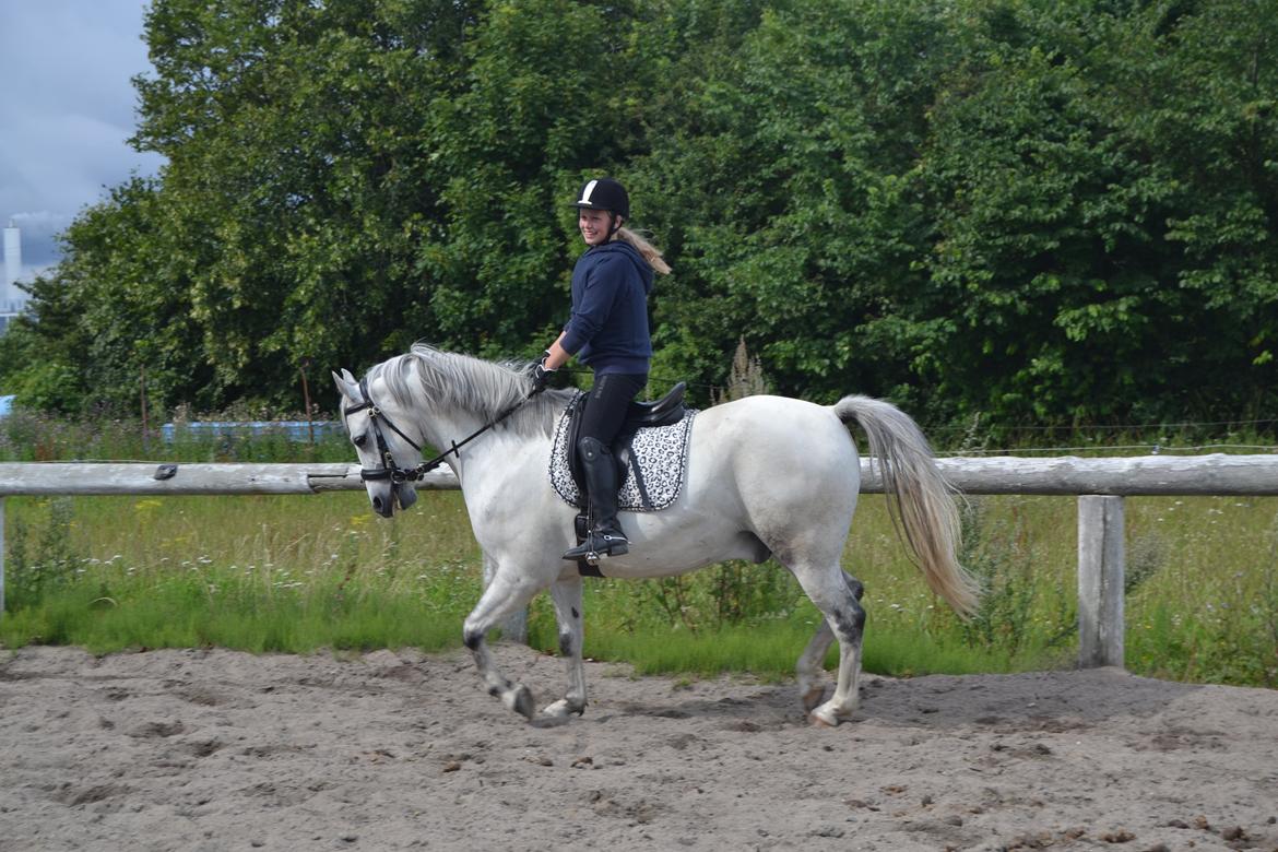 Anden særlig race Bill billede 8