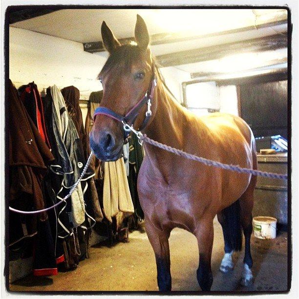 Traver Kenzo - My dream <3 billede 2