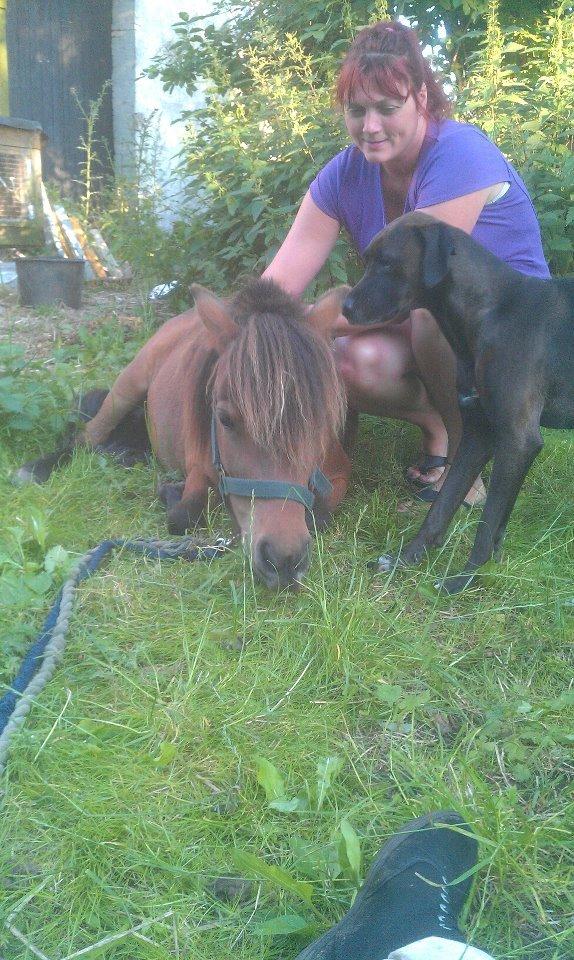 Anden særlig race Lille-pigen. - Så har lille musen lært at ligge ned på komando <3 billede 15