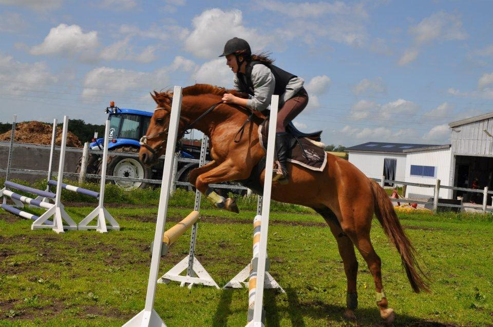 Anden særlig race Bounty <3 - Træning billede 2
