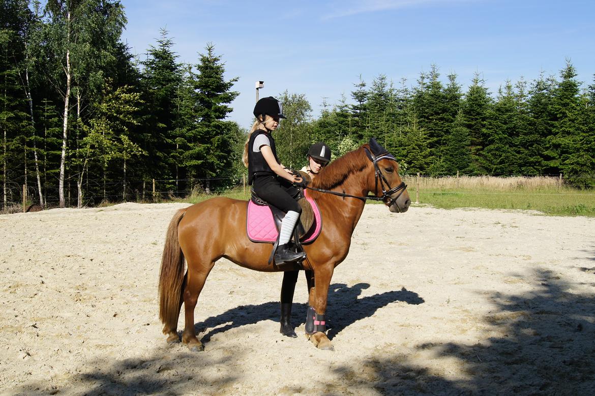 Anden særlig race Rosa - Juli 2012 billede 7