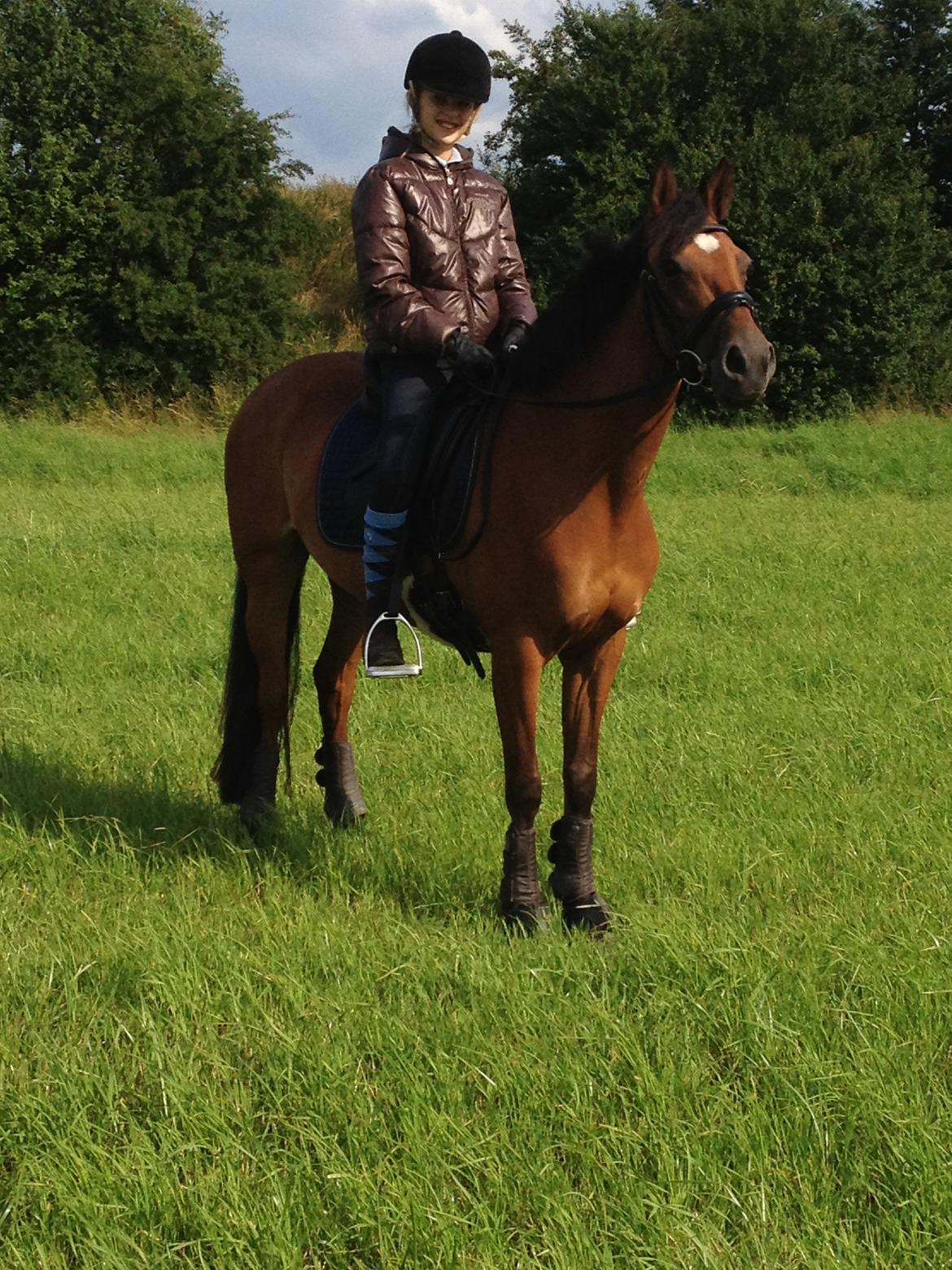 DSP Nymfe Stengaard (B-pony) billede 16