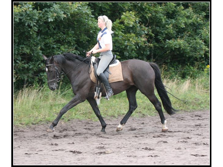 {{currentPhoto.altText}} billede {{currentPhoto.number}}