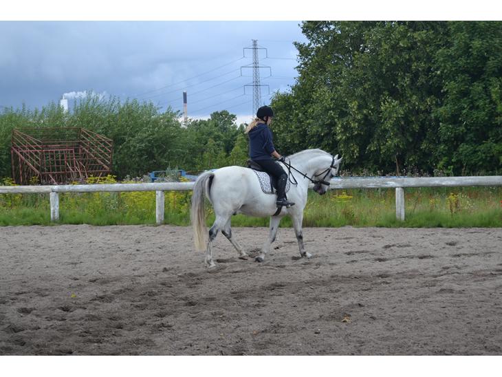 {{currentPhoto.altText}} billede {{currentPhoto.number}}