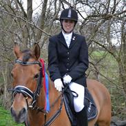 Anden særlig race Dosty