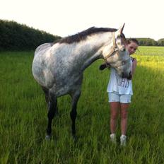 Anden særlig race Tequila<3. [tidl. Hest]