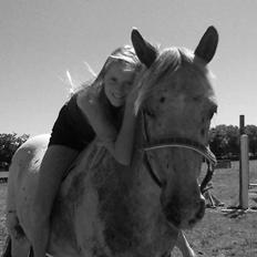 Appaloosa MR. APPELBEY **B-pony** (Søsters pony)