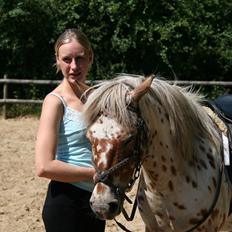 Knabstrupper Murphy *Min basse* <3