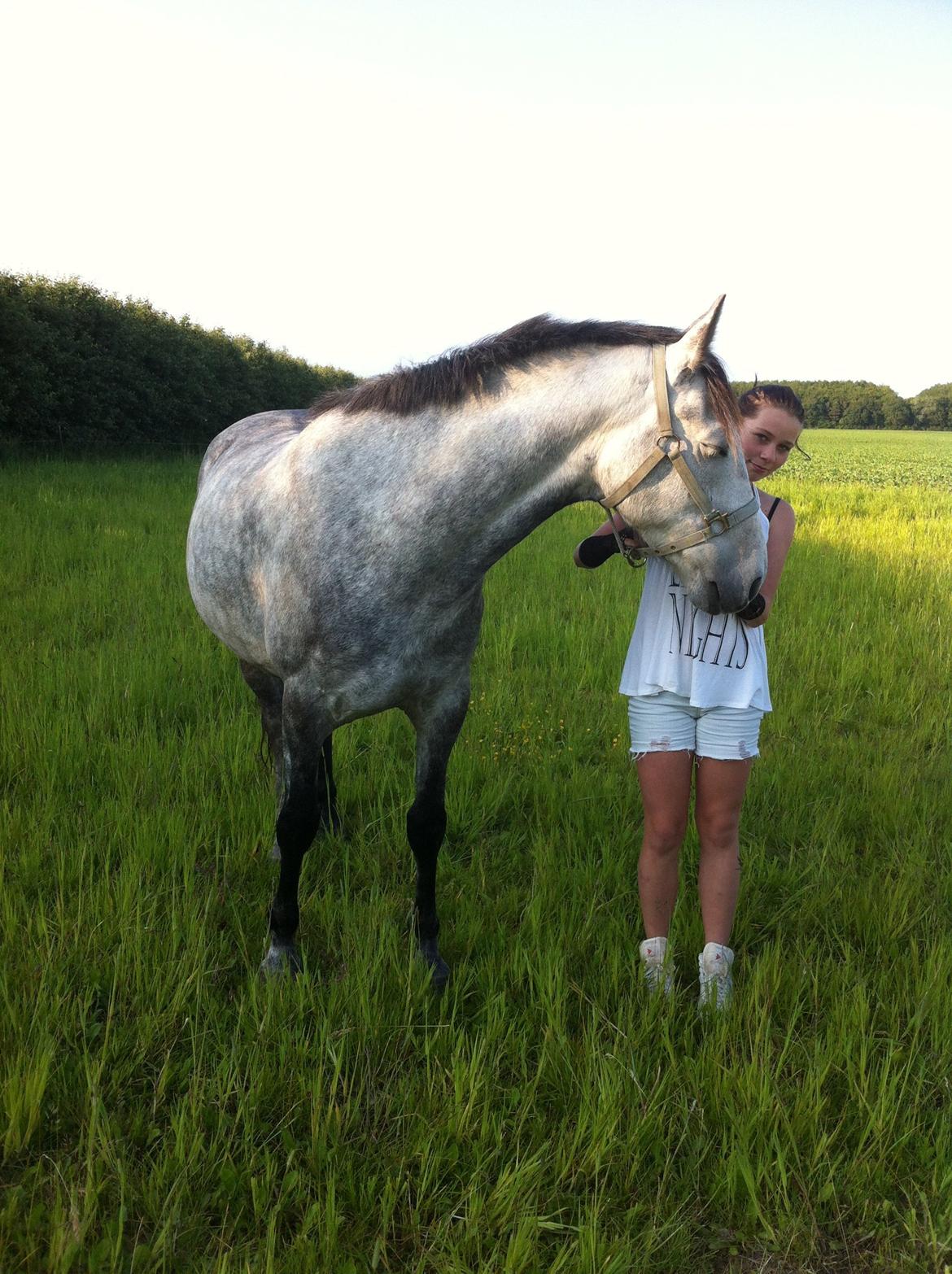 Anden særlig race Tequila<3. [tidl. Hest] - første aften på folden<3 billede 2