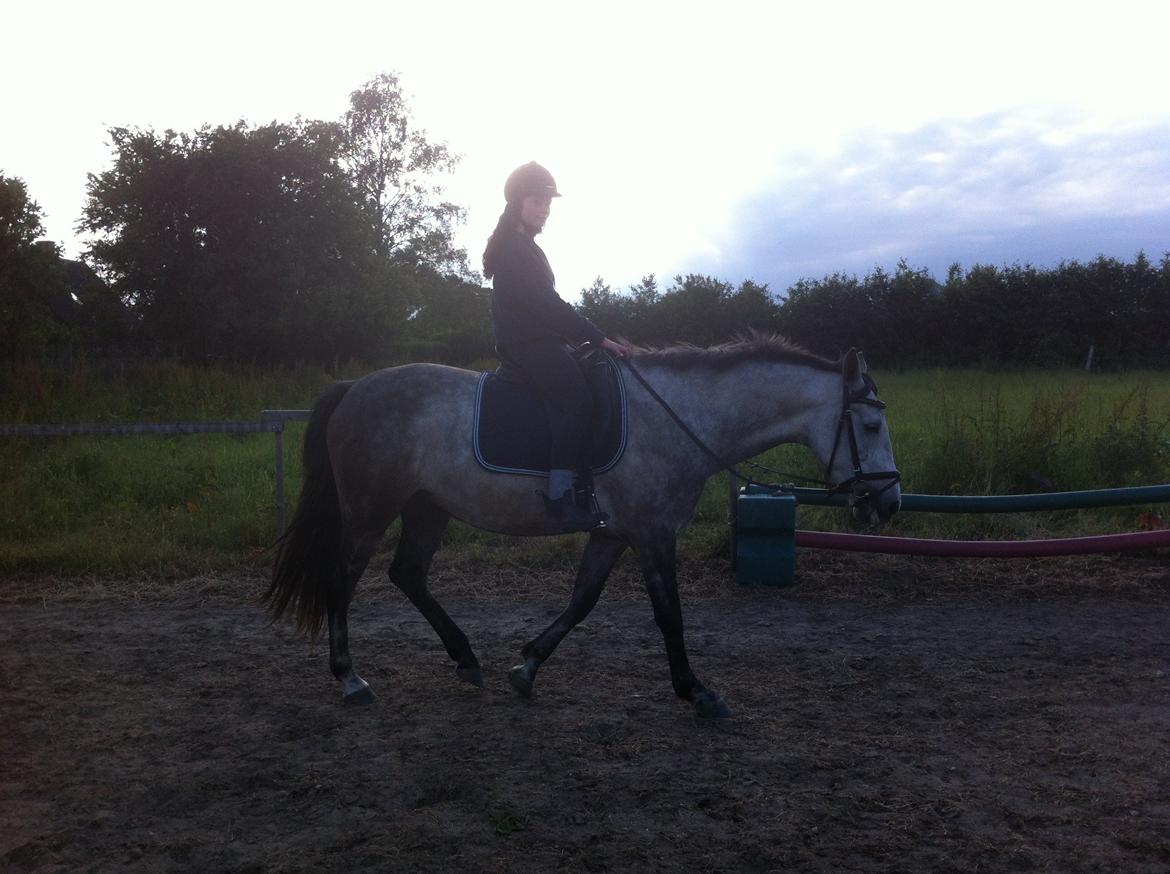 Anden særlig race Tequila<3. [tidl. Hest] billede 6