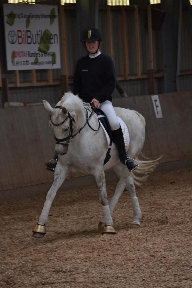 DSP Nørlunds Sally Maree - mandag d. 25/6 da vi blev filmet til tv2's guide. billede 11