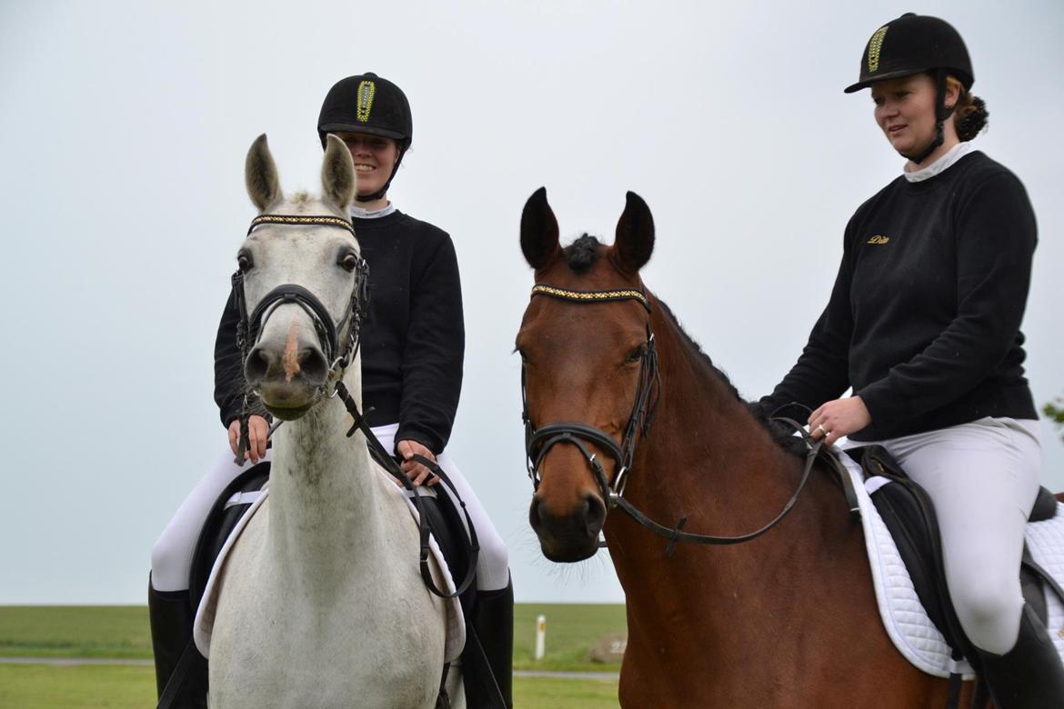 DSP Nørlunds Sally Maree - 25/6, hvad mon pony har fået øje på? :D billede 4