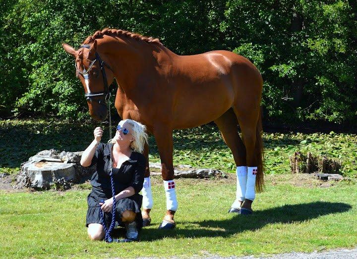 Dansk Varmblod Wald Rose - min skønne hest og jeg sommer 2012. billede taget af Camiilla n billede 2