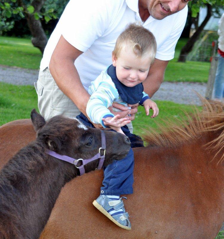 Anden særlig race » Hegnsholts Ziba <3 « R.I.P <3 - 23. juli 2012 - Ziba og min dejlige fætter :-* De var vilde med hinanden! billede 14