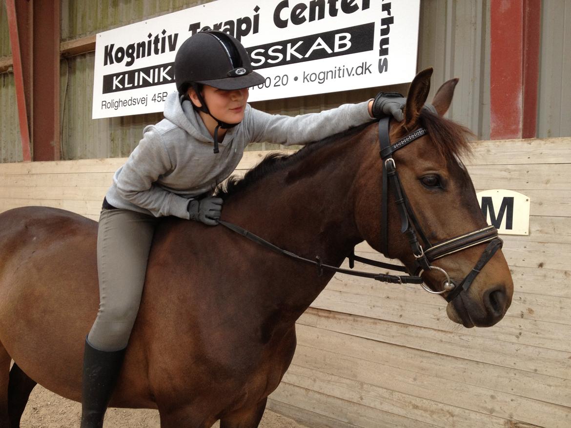 Anden særlig race Andriano billede 6