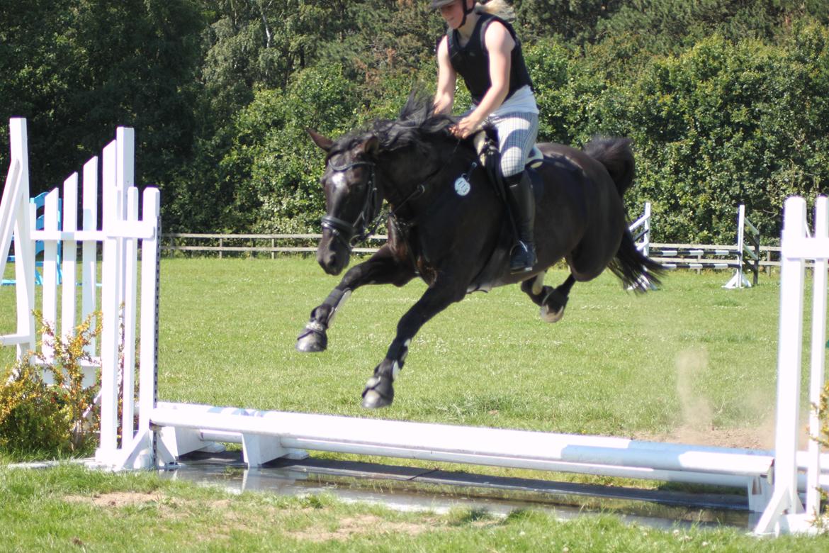 Oldenborg Shery Horsmark - Anden gang Shery springer vandgrav, uden problemer. Men hun skal bestemt ikke røre!! ;D billede 18