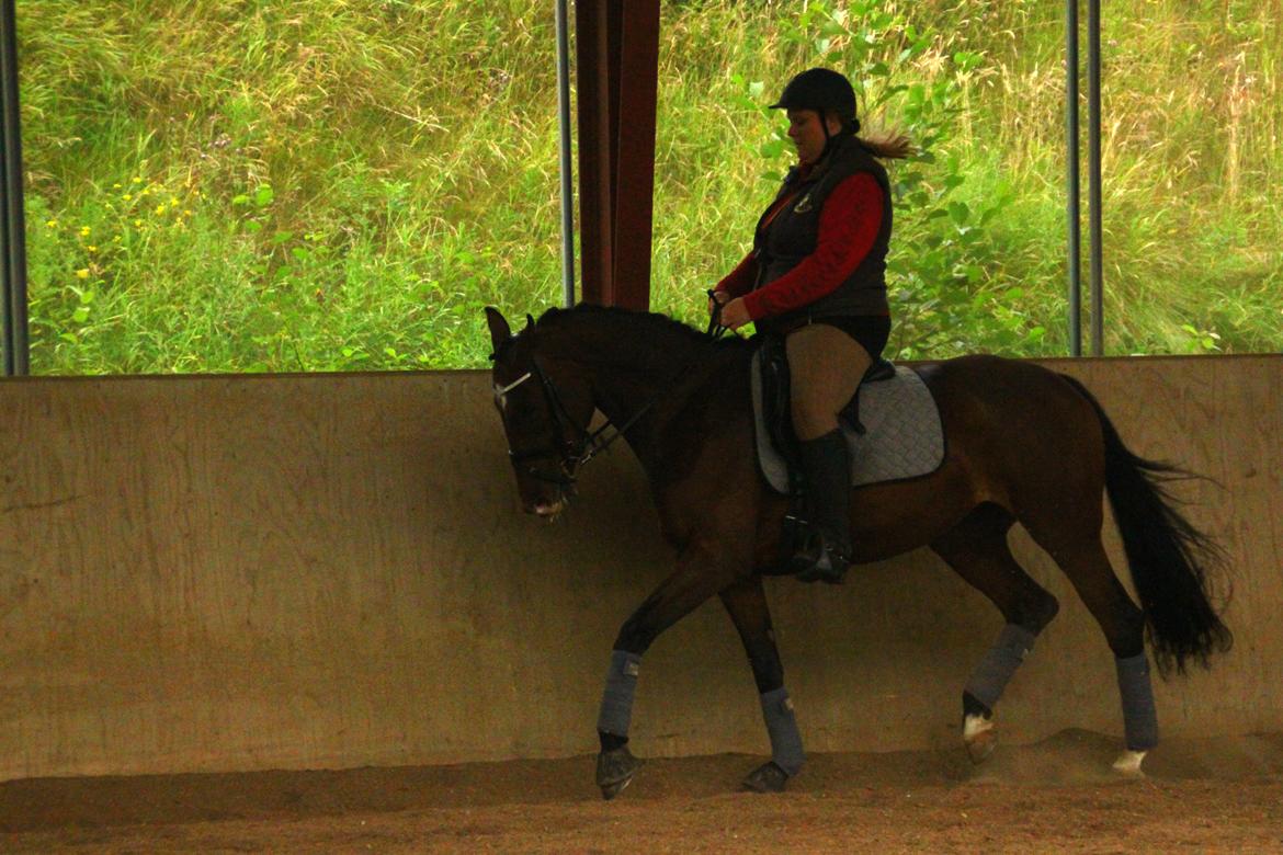 Oldenborg ROSENGÅRDENS CALIOPI - Lerbækhus - juli 2012. billede 13