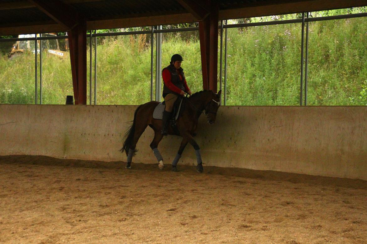 Oldenborg ROSENGÅRDENS CALIOPI - Lerbækhus - juli 2012. billede 12