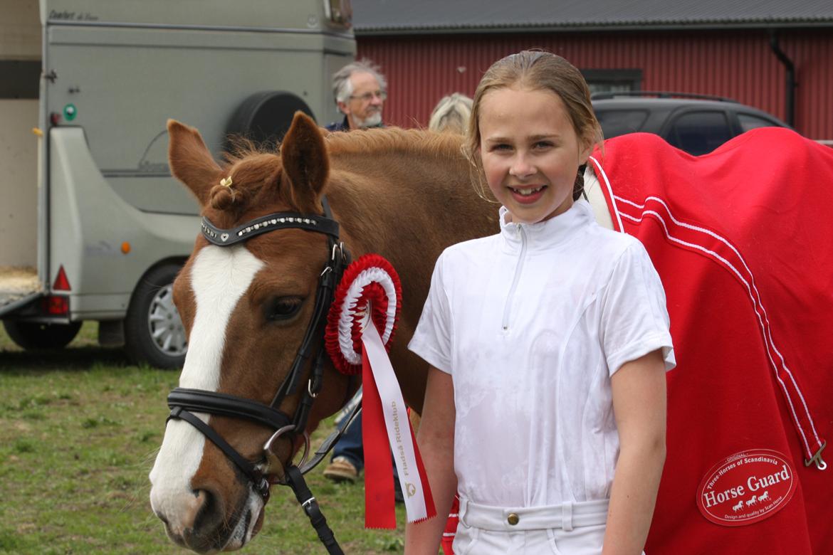 Anden særlig race Elmegårdens Sir Konrad<3 (solgt) - Klubmester 2012 for pony dressur<3 billede 1