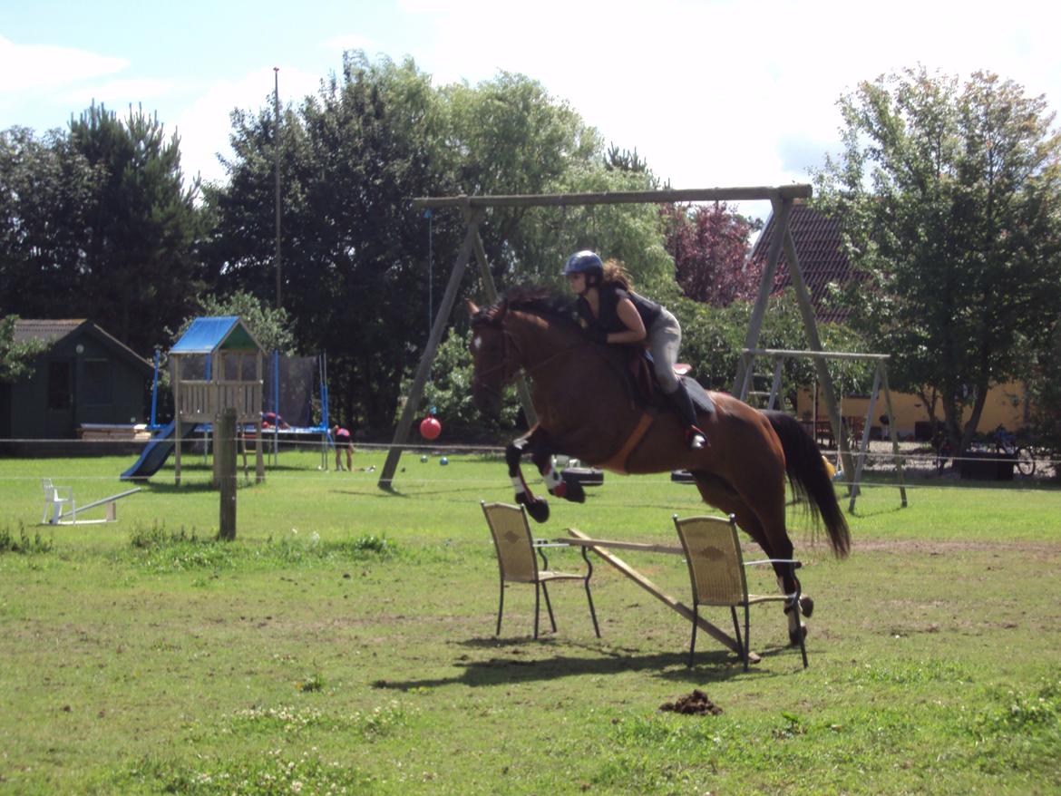 Tysk Oldenburger Hesteløkkens Elbina<3 - springning uge 28 2012 billede 8