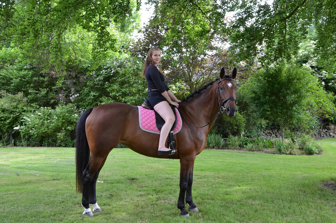 Tysk Oldenburger Hesteløkkens Elbina<3 - ridelejr uge 27 2012 jeg elsker dig mule<3:* billede 9