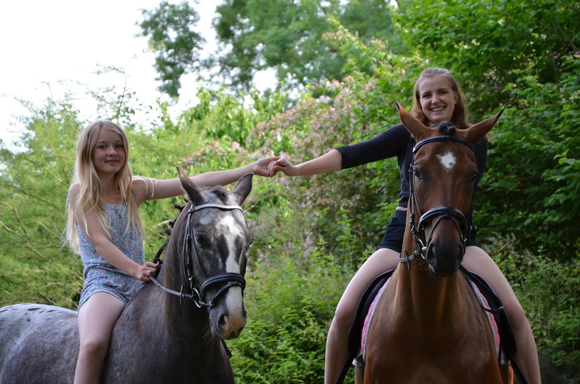 Tysk Oldenburger Hesteløkkens Elbina<3 - Alma,Montana, Elbina og jeg<3

ridelejr uge 27 2012 billede 10