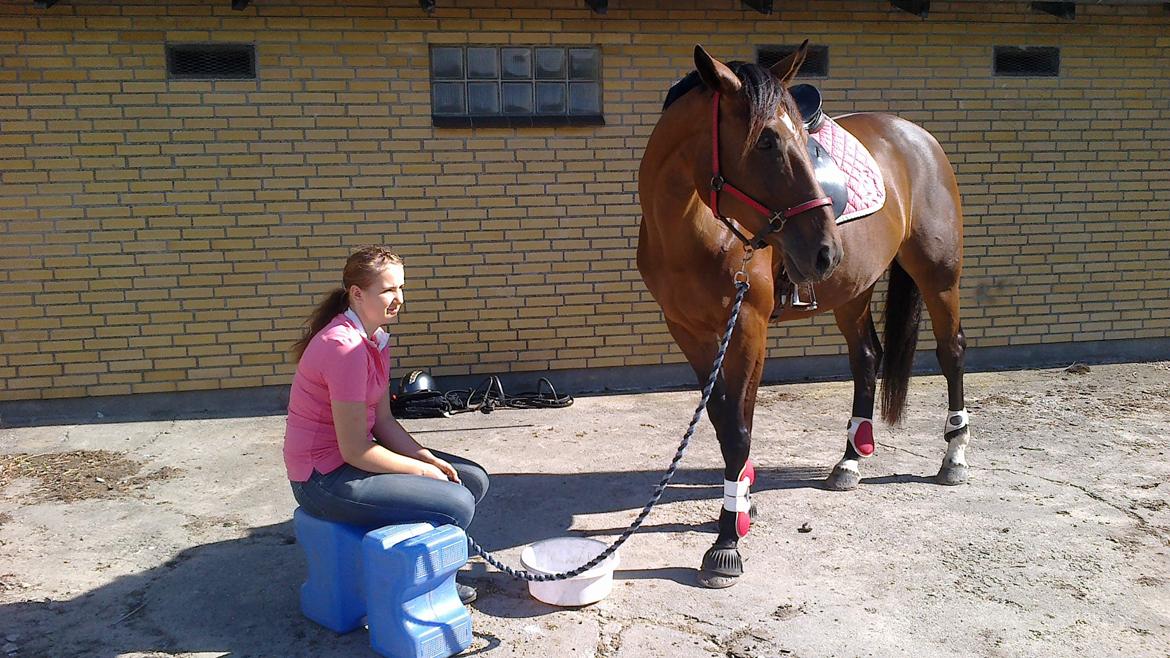 Tysk Oldenburger Hesteløkkens Elbina<3 - så venter vi bare på at de andre bliver klar så vi kan komme på military banen.:*
ridelejr 2012 billede 12