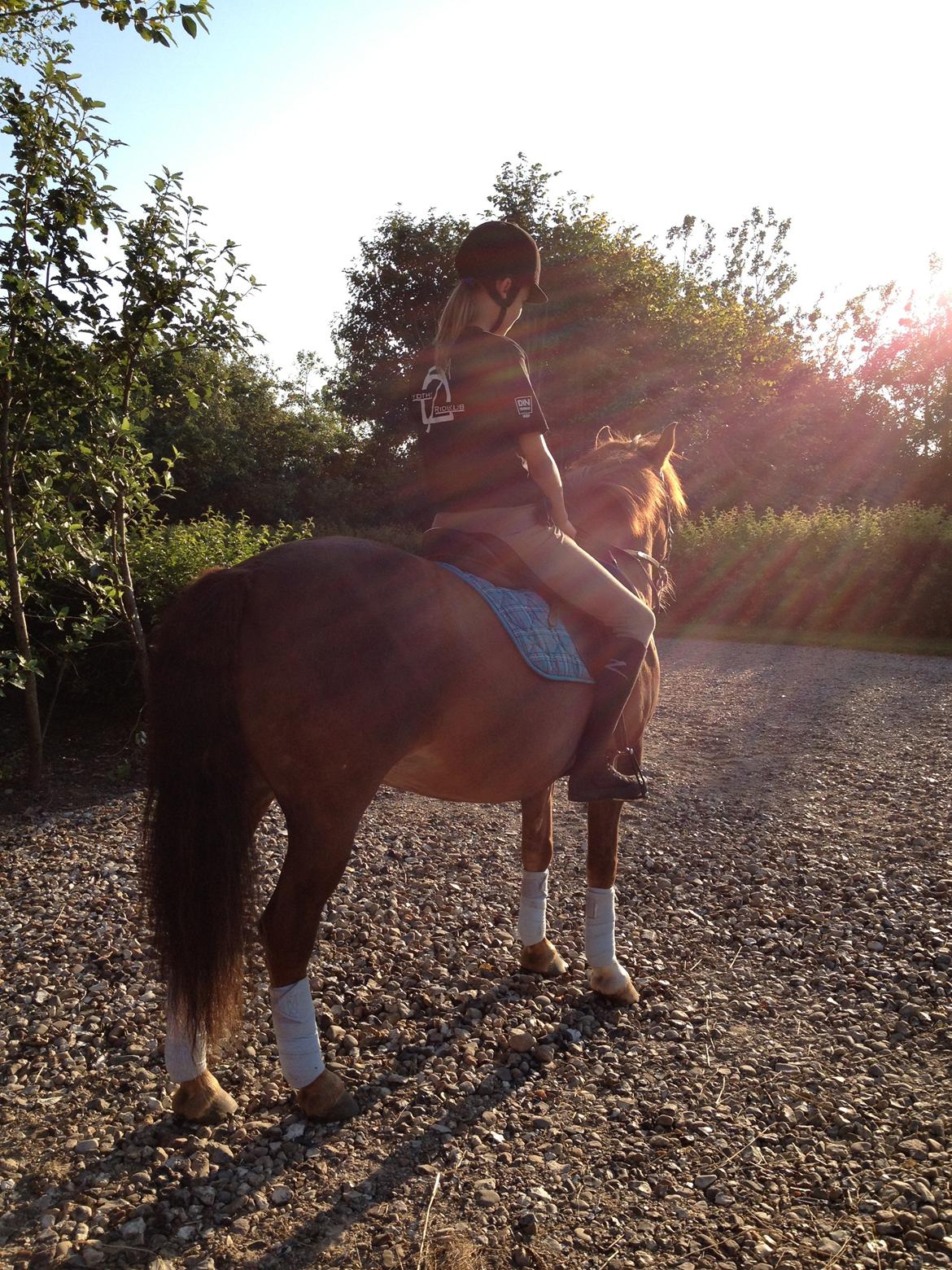 Anden særlig race Summer - Når enden er god, er alting godt!:)

Tak for kigget:) læg gerne en kommentar :)<3

"nu siger jeg det igen, du vil altid have en plads i mit hjerte"! billede 17