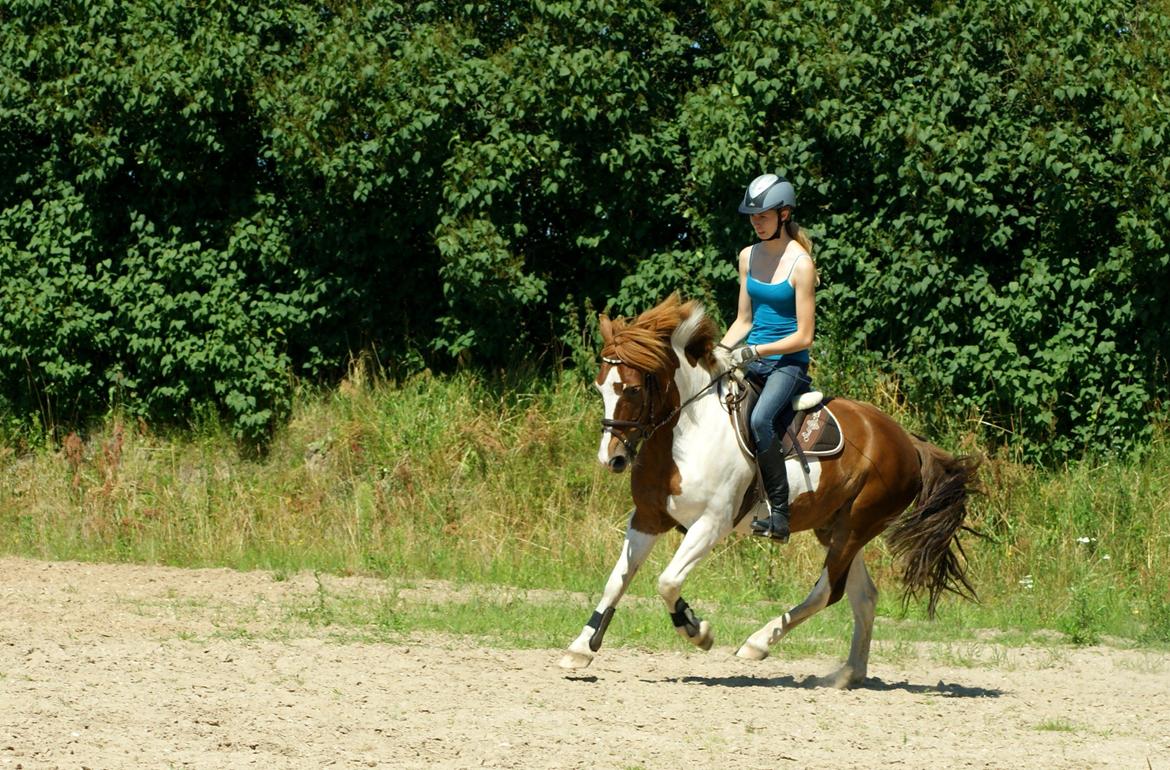 Pinto NM Pimento - Mit eventyr! - d. 26/7/12 Endelig bagbensaktion i galop også! :-) billede 12