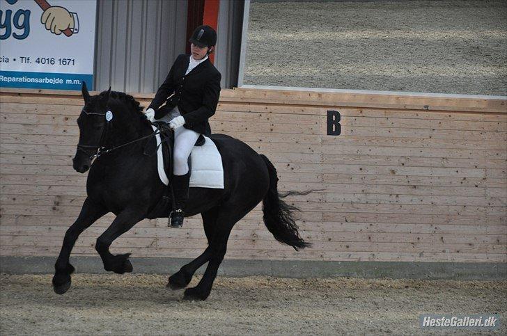 Frieser Tessa - Taget af Amanda billede 11