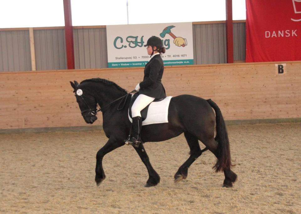 Frieser Tessa billede 14