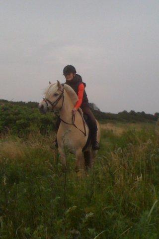 Fjordhest Refstrups Lucinda - En lidt hidsig pony efter en jordetur i sommerferien 2012 -DET ER FORBUDT AT KOPIERE BILLEDERNE! billede 5